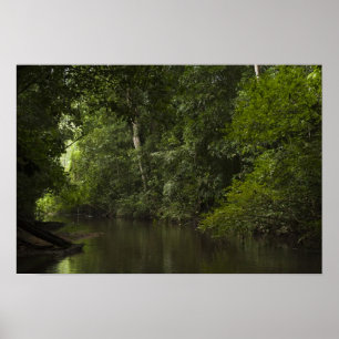 Mapari, Mapari Rupununi, Guyana. Poster