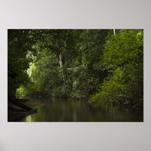 Mapari, Mapari Rupununi, Guyana. Poster (Voorkant)