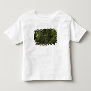 Mapari Rivier, Mapari Rupununi, Guyana. Kinder Shirts