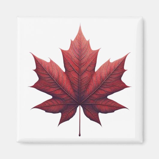 Mapel Leaf, Ahornblatt Magneet (Voorkant)