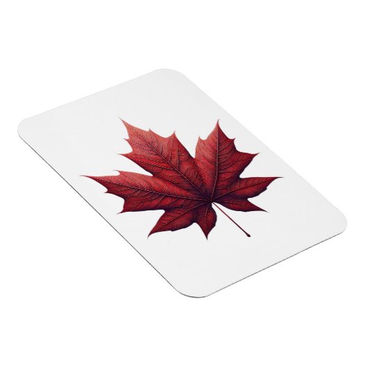 Mapel Leaf Magneet (Rechterzijde)