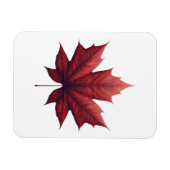 Mapel Leaf Magneet (Horizontaal)