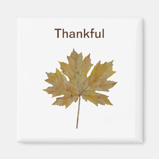 Mapelblad, bruine en goudtonen magneet (Voorkant)