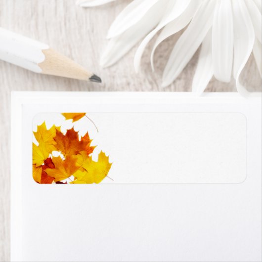 Mapelbladeren Etiket (Insitu)