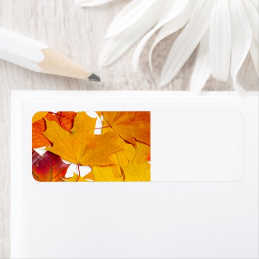 Mapelbladeren Etiket (Insitu)