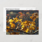 Mapelbladeren in het Briefkaart Vermont (Voorkant / Achterkant)