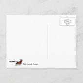 Mapelbladeren met regendruppels briefkaart (Achterkant)