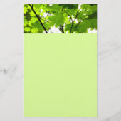 Mapelbladeren met regendruppels briefpapier (Voorkant)