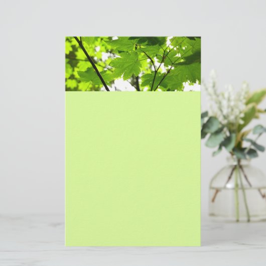 Mapelbladeren met regendruppels briefpapier (Staand voorkant)