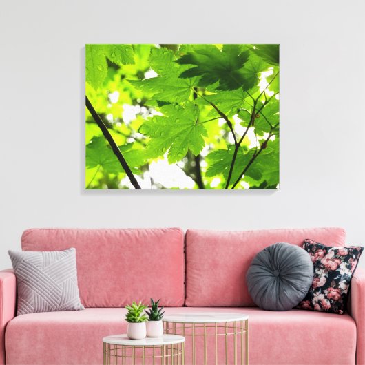 Mapelbladeren met regendruppels canvas afdruk (Insitu (Woonkamer))