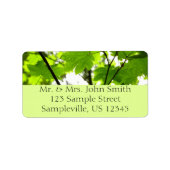 Mapelbladeren met regendruppels etiket (Voorkant)