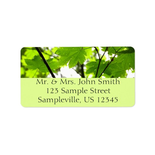 Mapelbladeren met regendruppels etiket (Voorkant)