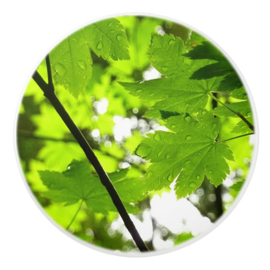 Mapelbladeren met regendruppels keramische knop (Voorkant)