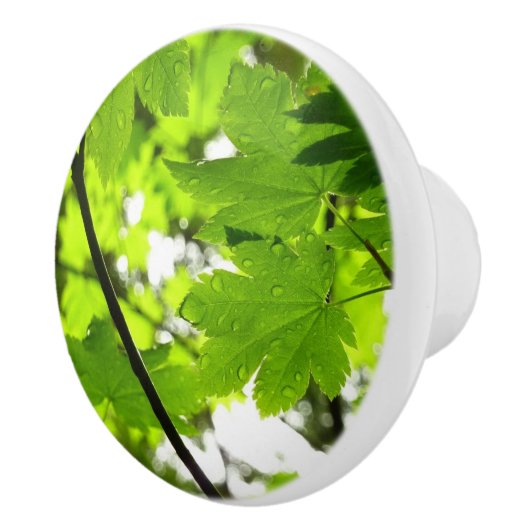 Mapelbladeren met regendruppels keramische knop (Rechts)