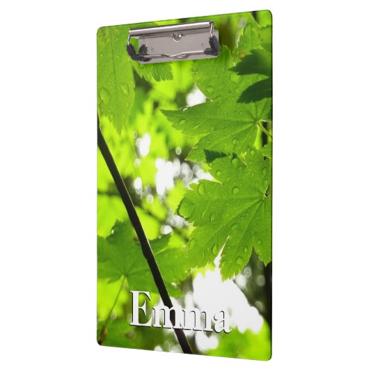 Mapelbladeren met regendruppels klembord (Links)