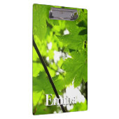 Mapelbladeren met regendruppels klembord (Rechts)