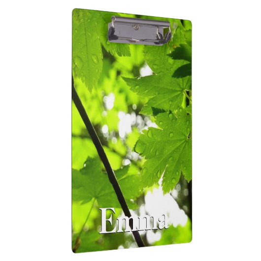 Mapelbladeren met regendruppels klembord (Rechts)