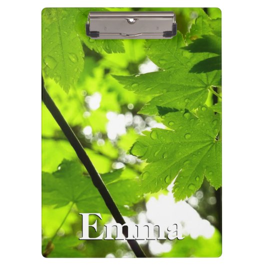 Mapelbladeren met regendruppels klembord (Voorkant)