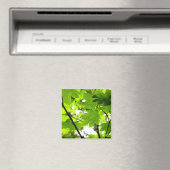 Mapelbladeren met regendruppels magneet (Insitu (Vaatwasser))