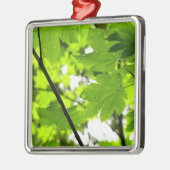 Mapelbladeren met regendruppels metalen ornament (Links)