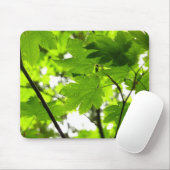 Mapelbladeren met regendruppels muismat (Met muis)