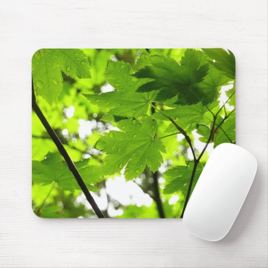 Mapelbladeren met regendruppels muismat (Met muis)