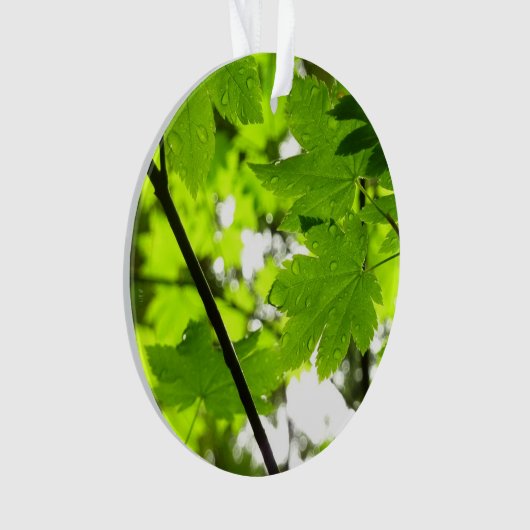 Mapelbladeren met regendruppels ornament (voorkant)