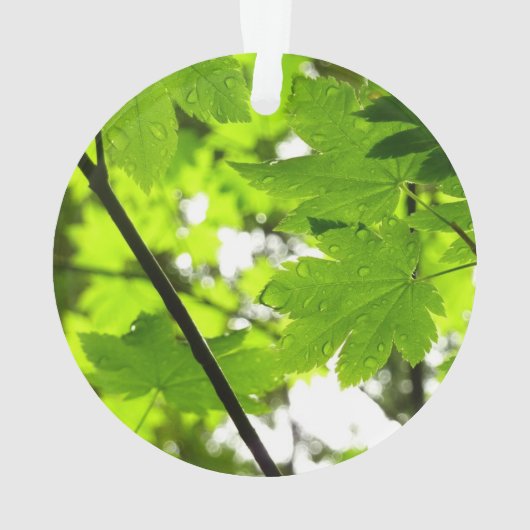 Mapelbladeren met regendruppels ornament (achterkant)