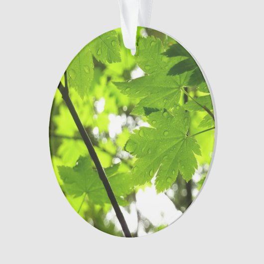 Mapelbladeren met regendruppels ornament (voorkant)