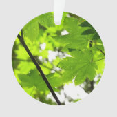 Mapelbladeren met regendruppels ornament (voorkant)