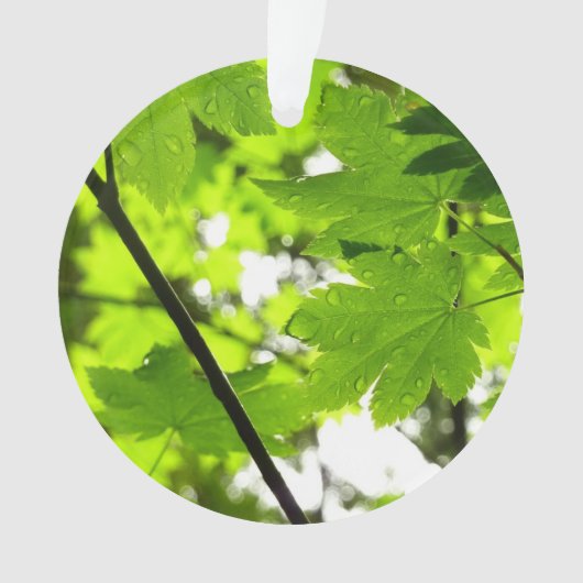 Mapelbladeren met regendruppels ornament (voorkant)