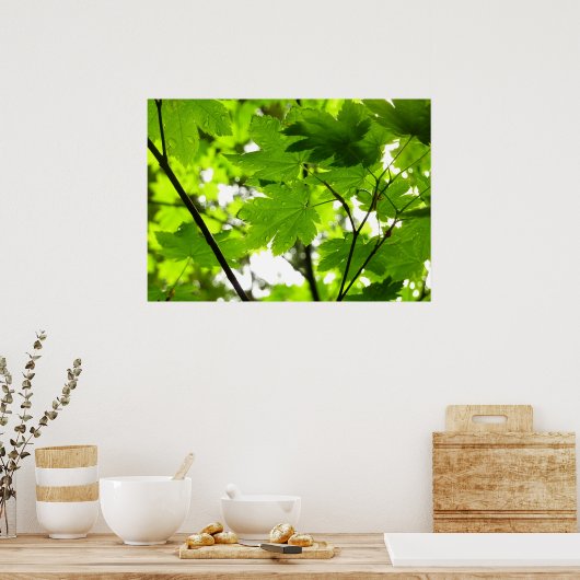 Mapelbladeren met regendruppels poster (Keuken)