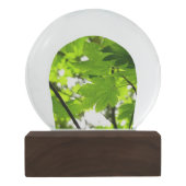 Mapelbladeren met regendruppels sneeuwbol (Achterkant)