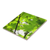 Mapelbladeren met regendruppels tegeltje (Zijkant)