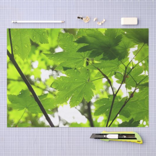 Mapelbladeren met regendruppels tissuepapier (Craft)