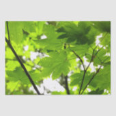 Mapelbladeren met regendruppels tissuepapier (Voorkant)