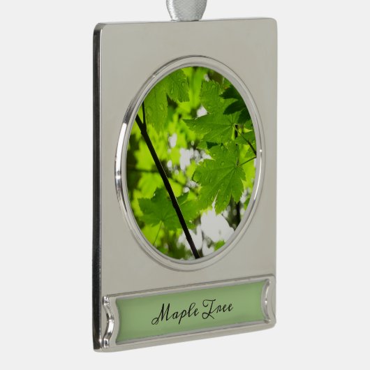 Mapelbladeren met regendruppels verzilverd banner ornament (Rechts)