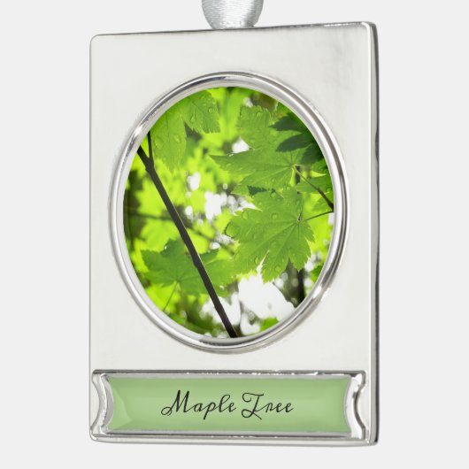 Mapelbladeren met regendruppels verzilverd banner ornament (Links)