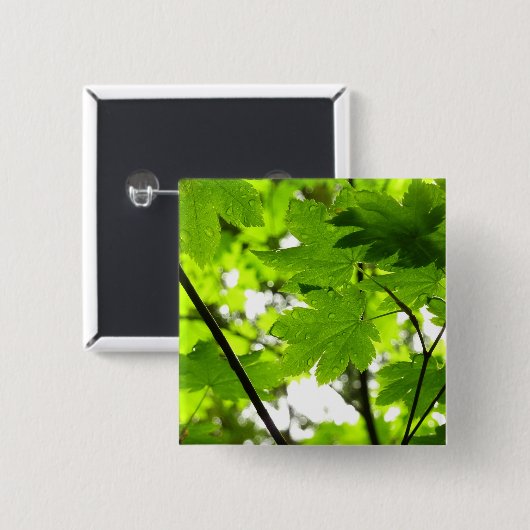 Mapelbladeren met regendruppels vierkante button 5,1 cm (Voorkant /achterkant)