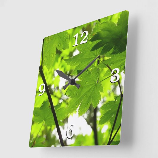 Mapelbladeren met regendruppels vierkante klok (Hoek)