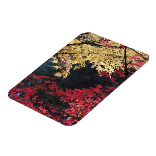 Mapelbomen in herfstkleur magneet (Linkerzijde)