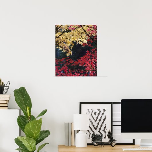 Mapelbomen in herfstkleur poster (Thuiskantoor)