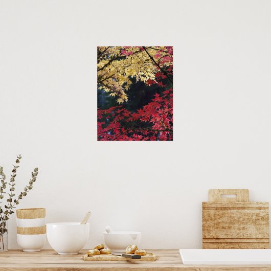 Mapelbomen in herfstkleur poster (Keuken)