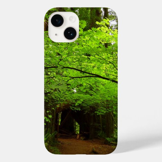 Mapelbomen in het sequoibos Case-Mate iPhone case (Achterkant)
