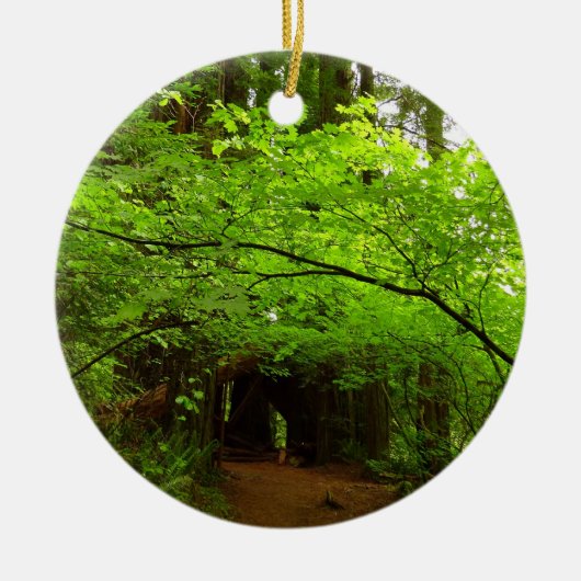 Mapelbomen in het sequoibos keramisch ornament (Voorkant)