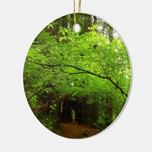 Mapelbomen in het sequoibos keramisch ornament (Links)