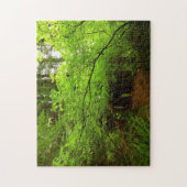 Mapelbomen in het sequoibos legpuzzel (Verticaal)