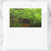 Mapelbomen in het sequoibos rechthoekige sticker (Tas)