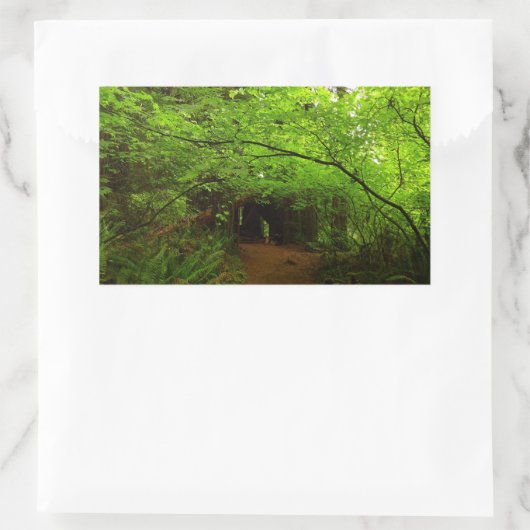 Mapelbomen in het sequoibos rechthoekige sticker (Tas)