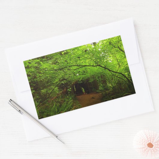 Mapelbomen in het sequoibos rechthoekige sticker (Envelop)